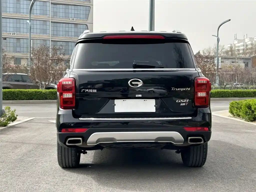 GAC Trumpchi Trumpchi GS8 2017 320T 2WD Luxury Smart Connect (7-seater) фото 7