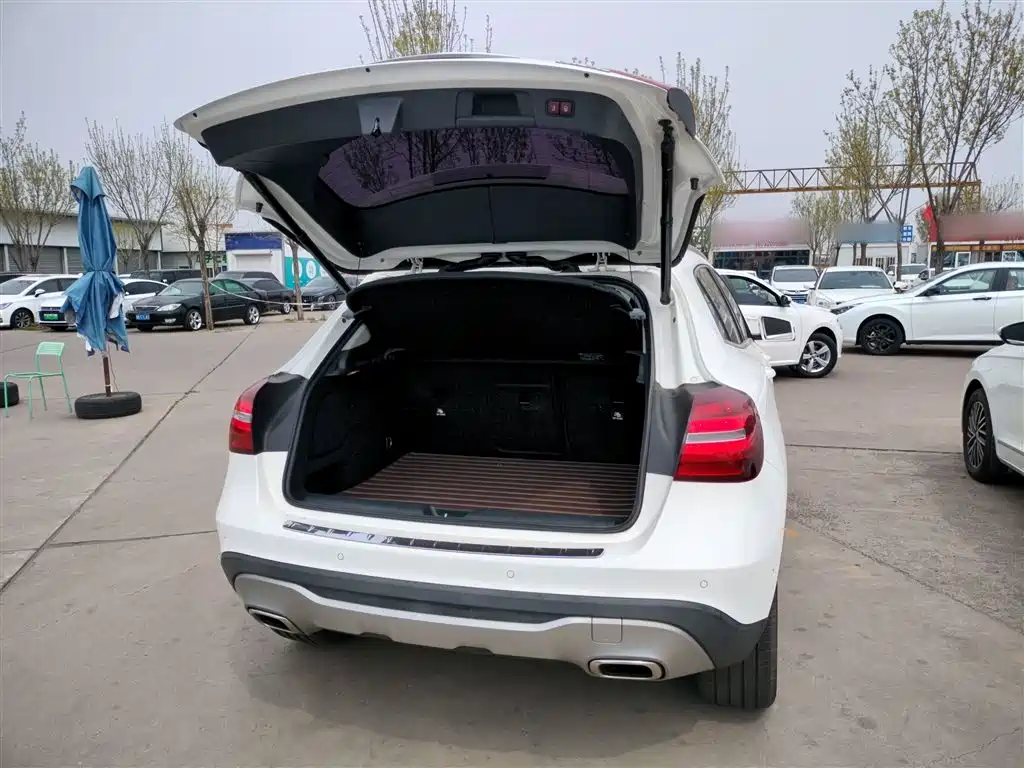 Mercedes-Benz GLA 2017 GLA 200 Dynamic фото 19