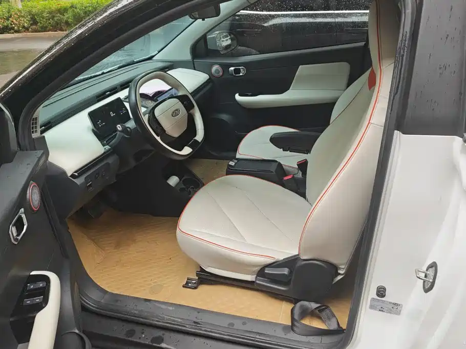 QQ New Energy Little Ant 2024 2024 Youth Edition 321km Favorite Version 29.23kWh