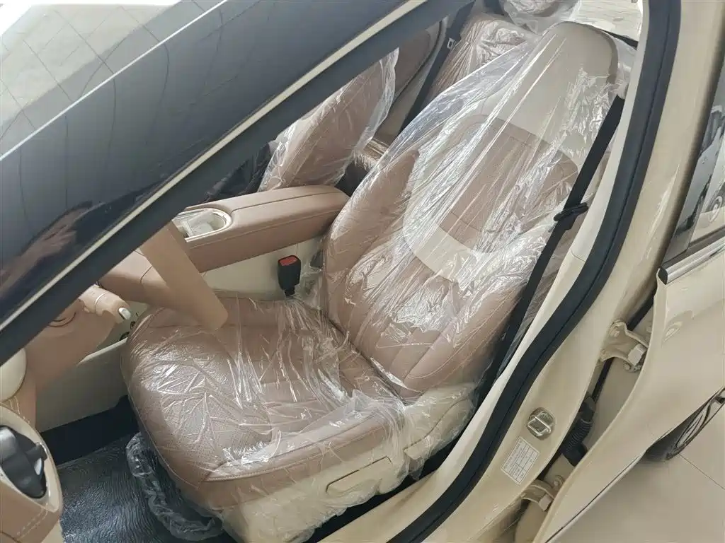 Wuling Motors Wuling Bingo 2026 2025 Model 333km Joy Edition