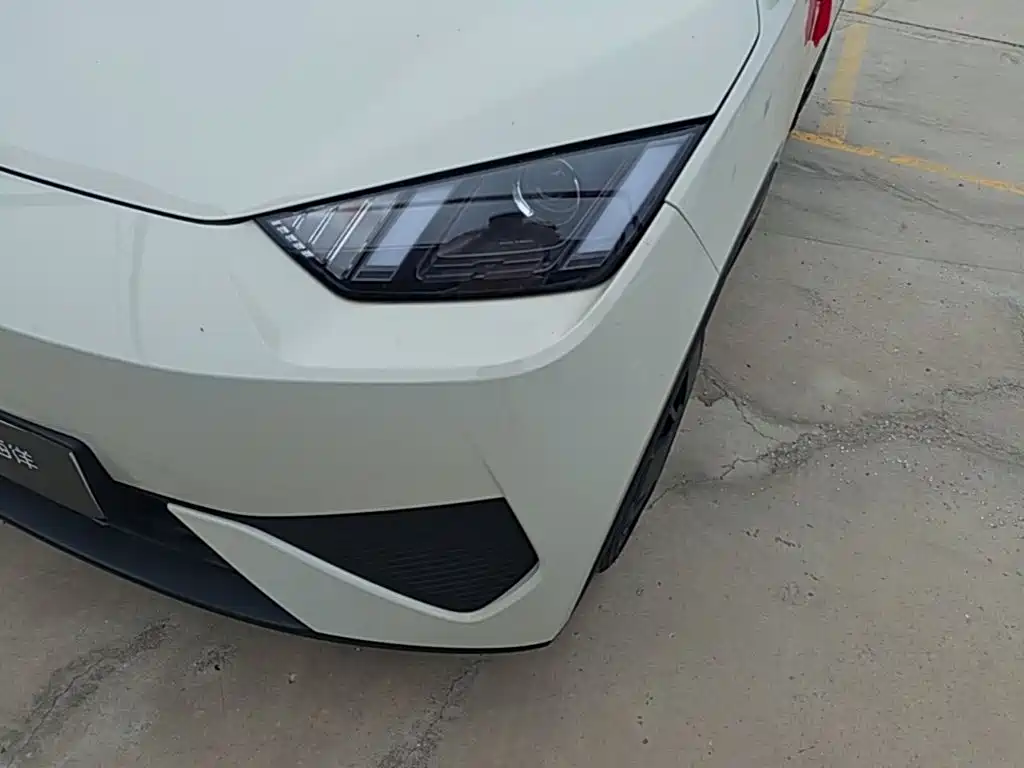 BYD Seagull 2026 2025 Smart Drive Edition 305km Vitality Version