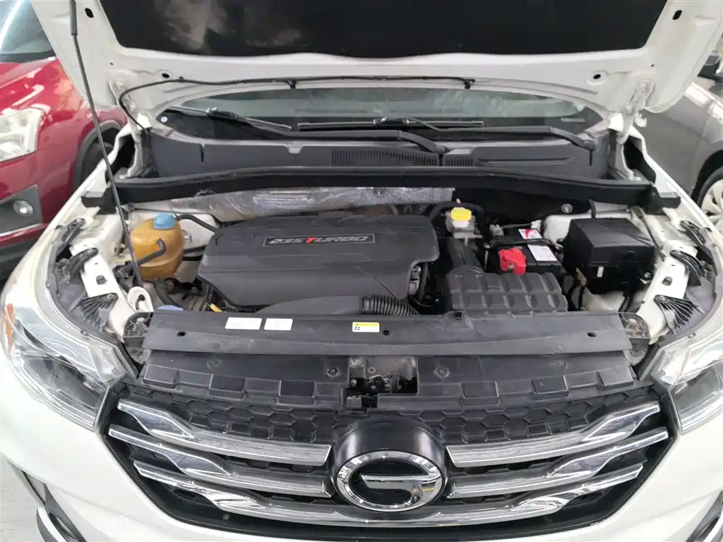 GAC Trumpchi Trumpchi GS4 2016 235T G-DCT Luxury Edition фото 20