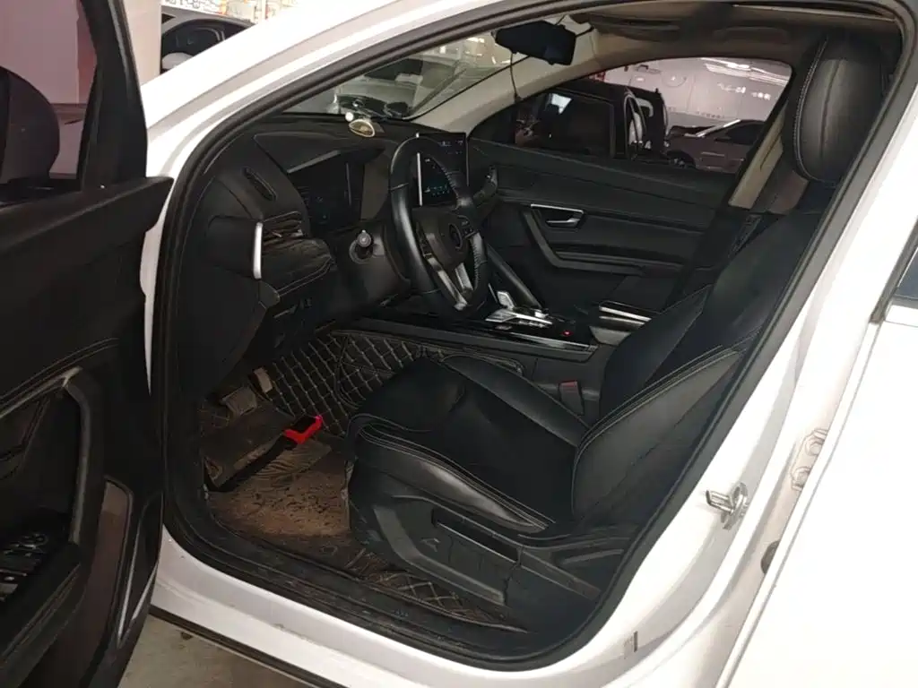 صورة 16 - BYD Song Pro