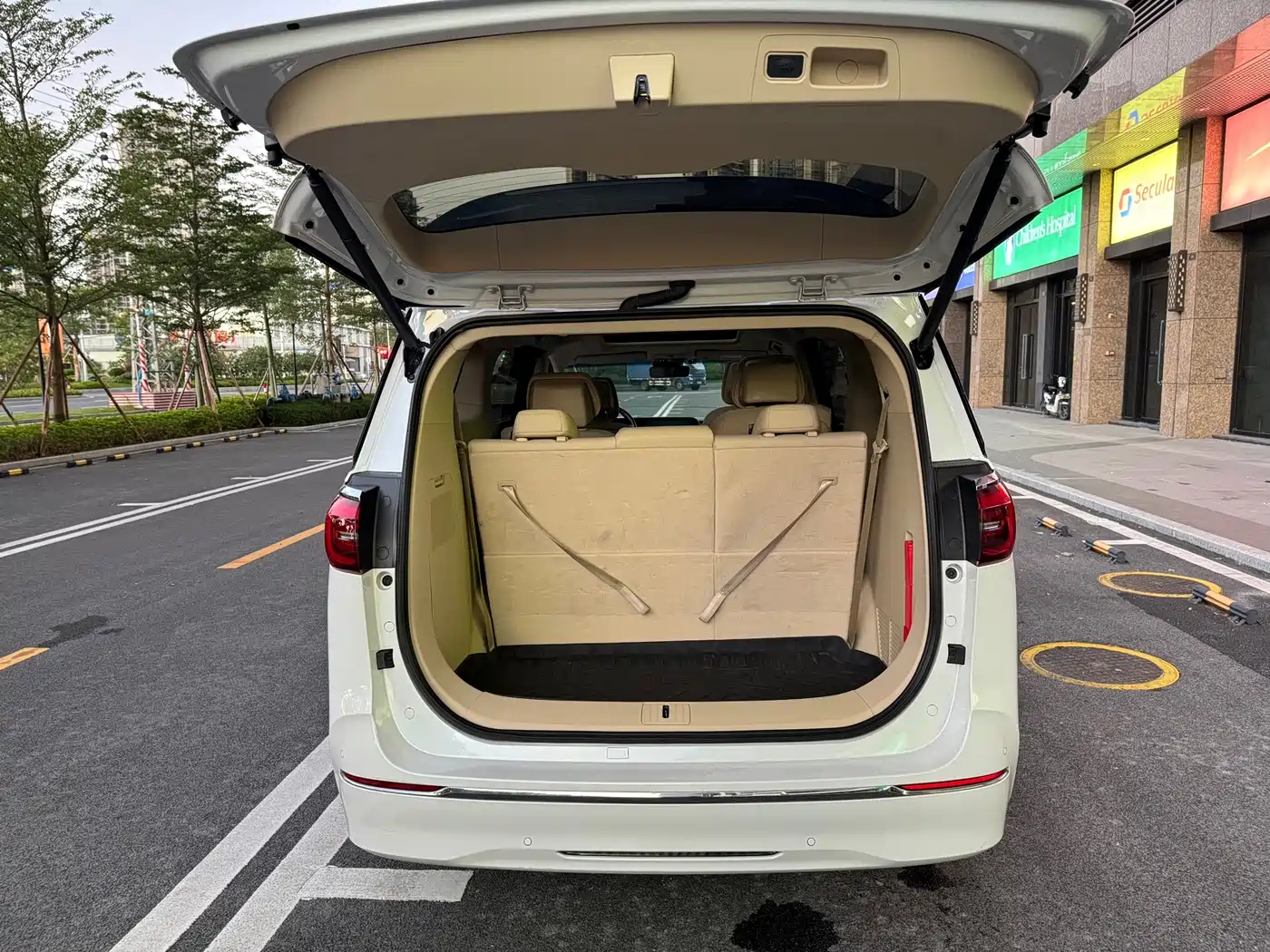 Buick GL8 2022 ES Landmark 653T Luxury фото 5