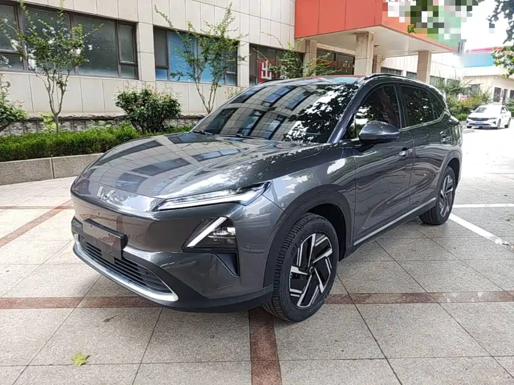 Wuling Motors Wuling Xingguang S 2024 60km Advanced