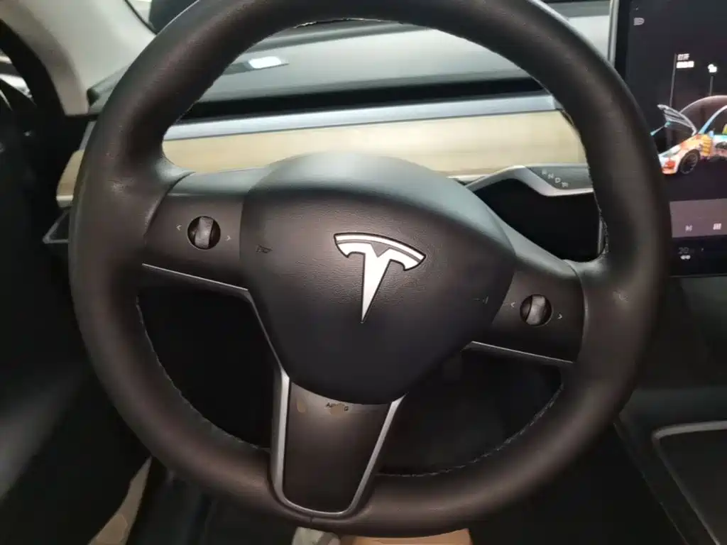 Tesla Model Y 2021 2021 Standard Range Rear-Wheel Drive