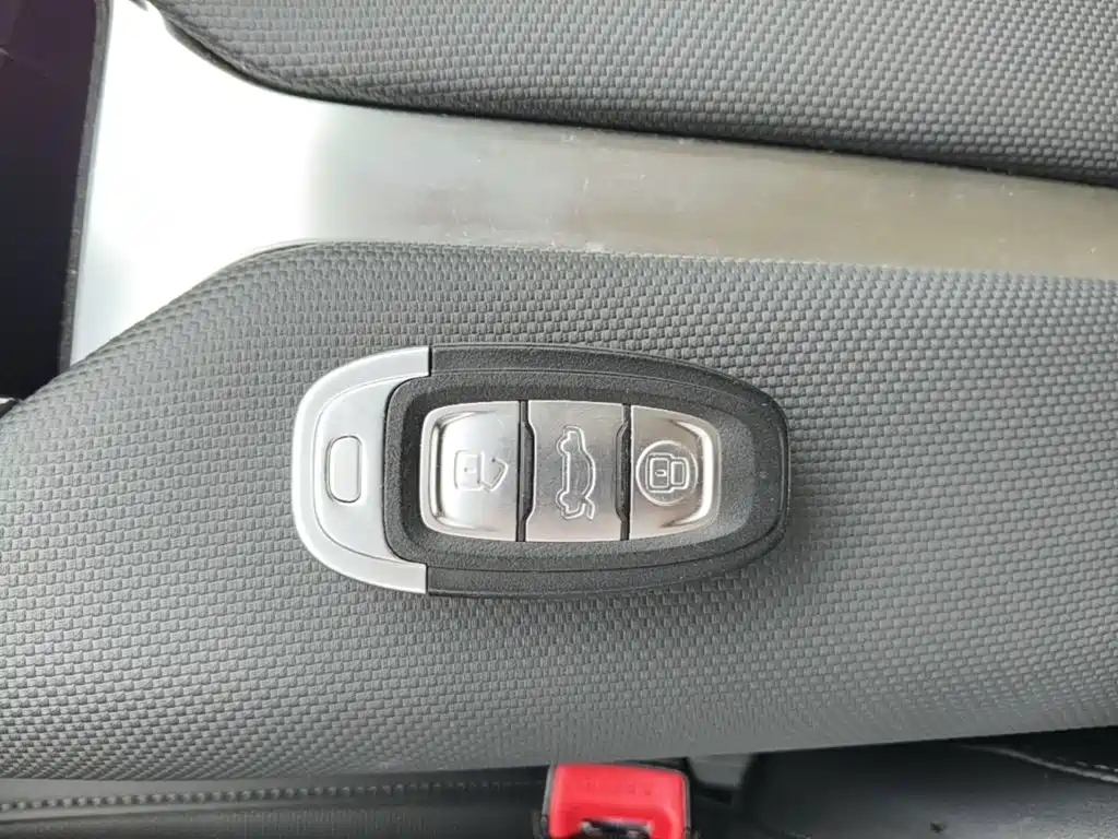 Hongqi E-QM5 2024 2024 Model 450km Travel Edition