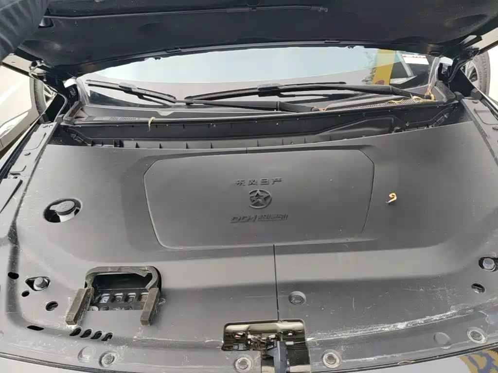 Venucia DaV DD-i 2025 2023 110km iE Edition