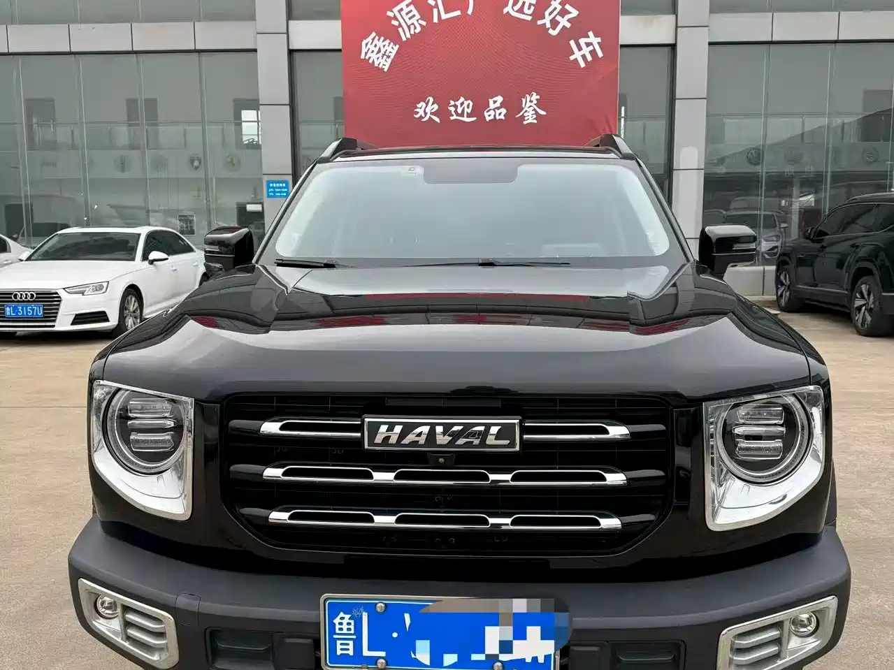 HAVAL BIG DOG