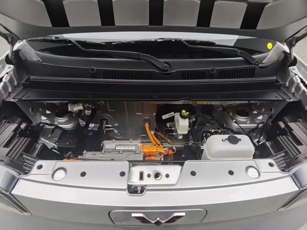 Wuling Motors Wuling Zhiguang NEV 2025 2025 Model 305km Base Version