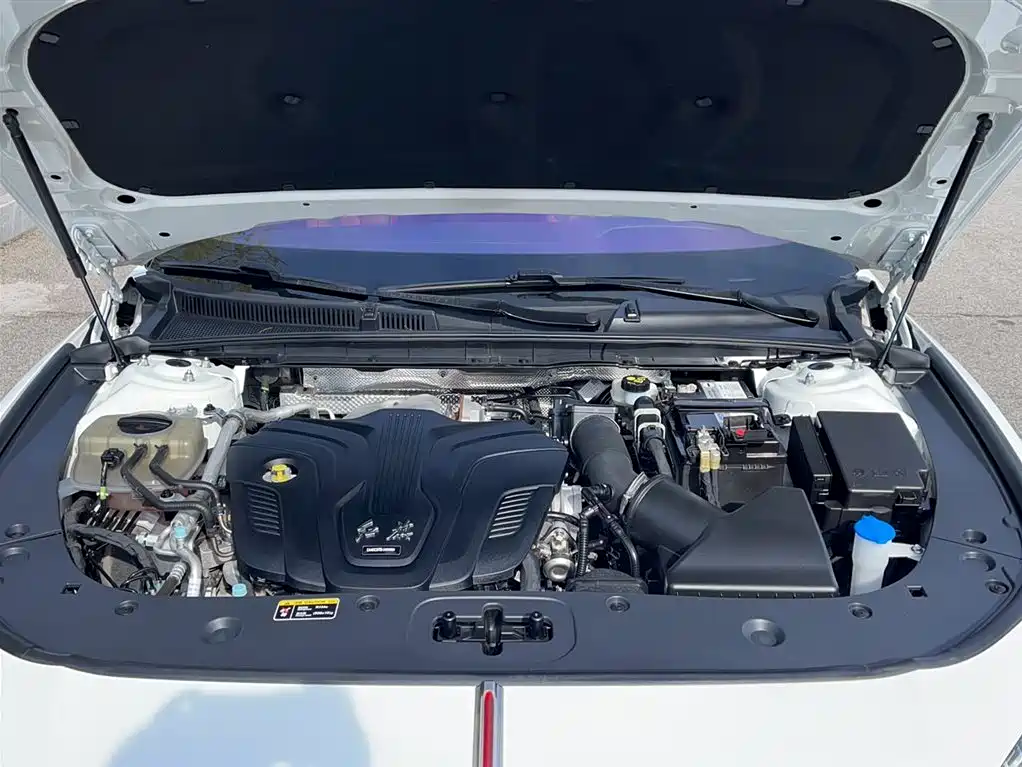 Hongqi H6 2023 2.0T Premium Edition фото 24