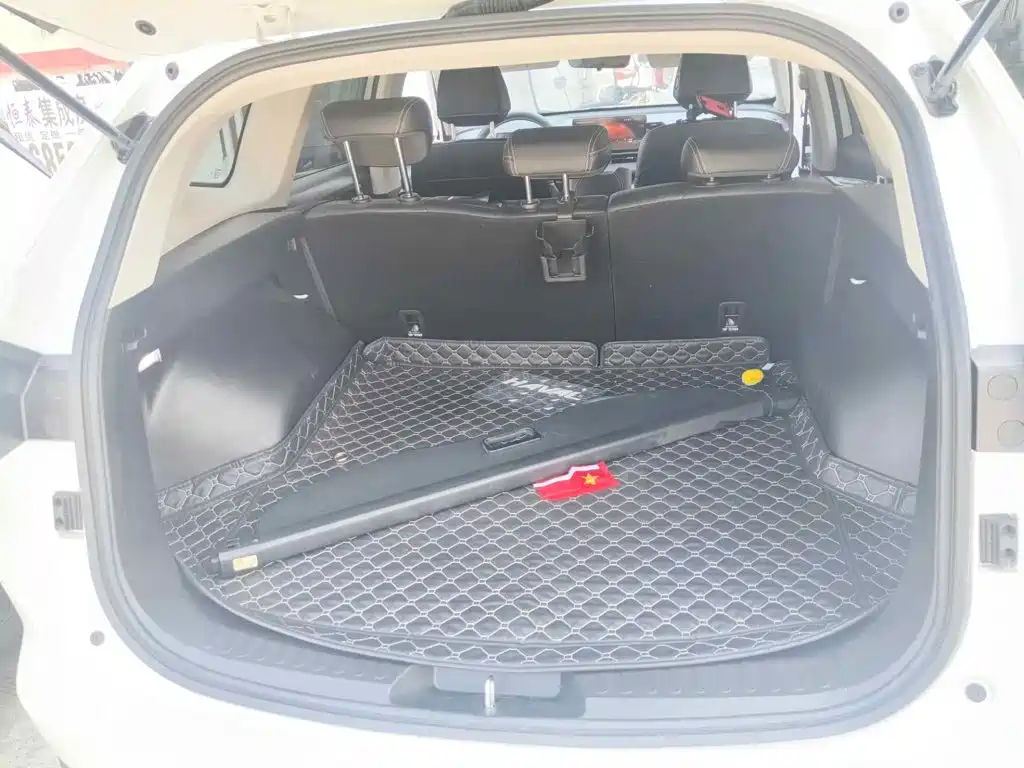 Haval H6 2025 2024 Model 1.5T 2WD Classic Edition