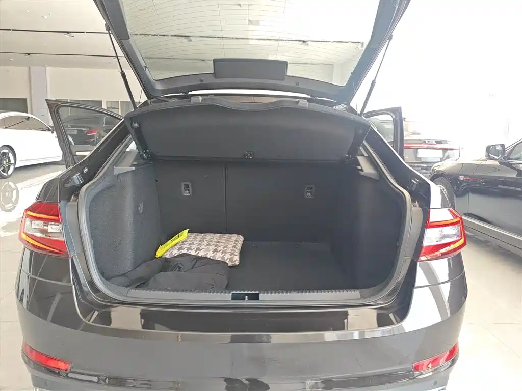 Škoda Octavia 2019 1.5L Automatic Smart Luxury Edition China V фото 19