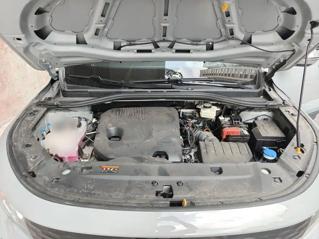 Geely Radar Radar King Kong 2025 2025 EM-P 4WD Long Bed Thousand-Mile King Kong