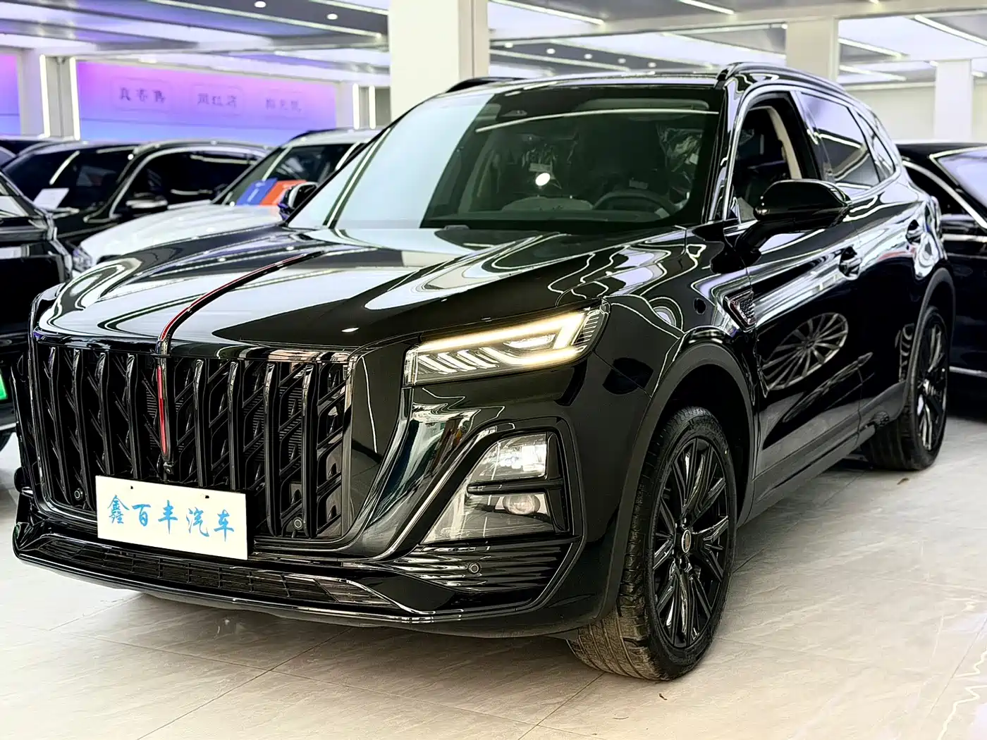  Hongqi Hongqi HS5 2025 2.0T 2WD Mystic Shadow Edition