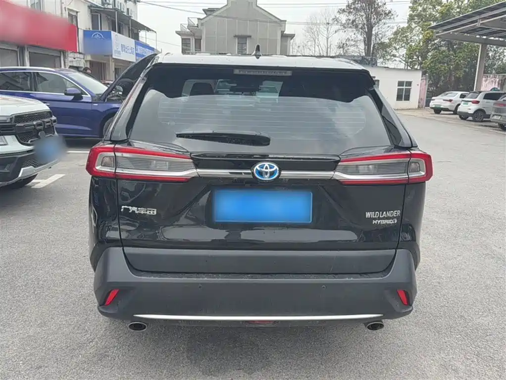Toyota Wildlander 2020 Dual Engine 2.5L E-CVT FWD Luxury фото 7
