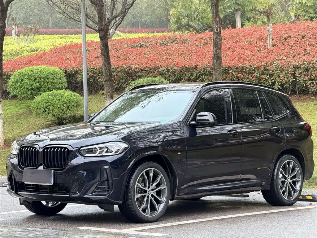 BMW X3 2022 xDrive30i Leading M Night Package фото 7