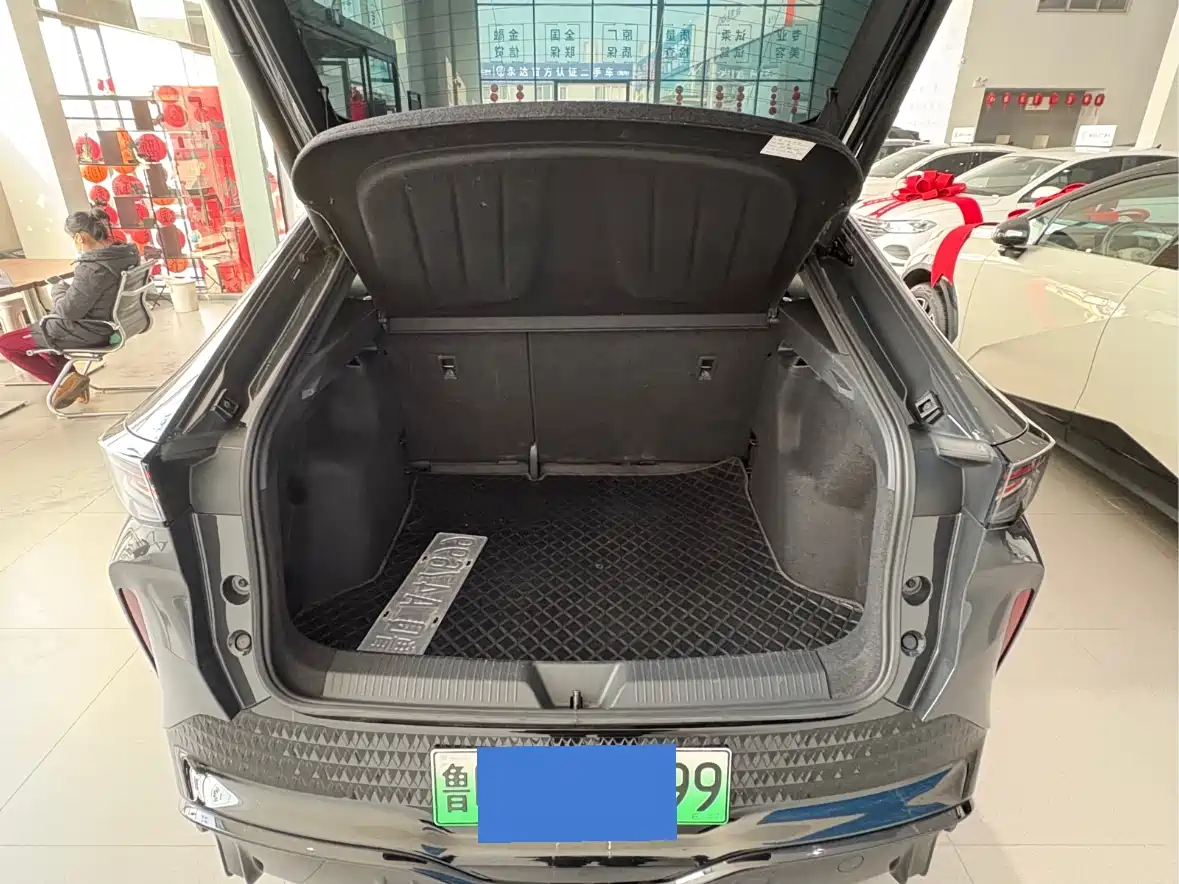 VOLKSWAGEN WITH THE CROWD 06