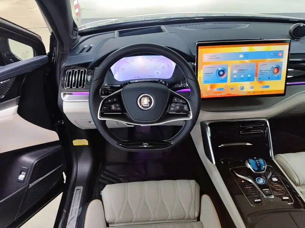 صورة 11 - BYD Tang New Energy