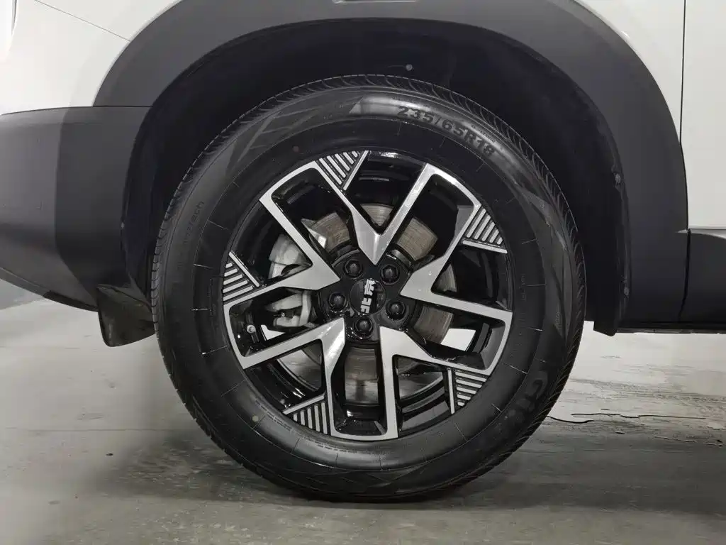 BAIC ORV Beijing Off-Road BJ30 2025 2024 1.5T Light Off-Road Pro Edition
