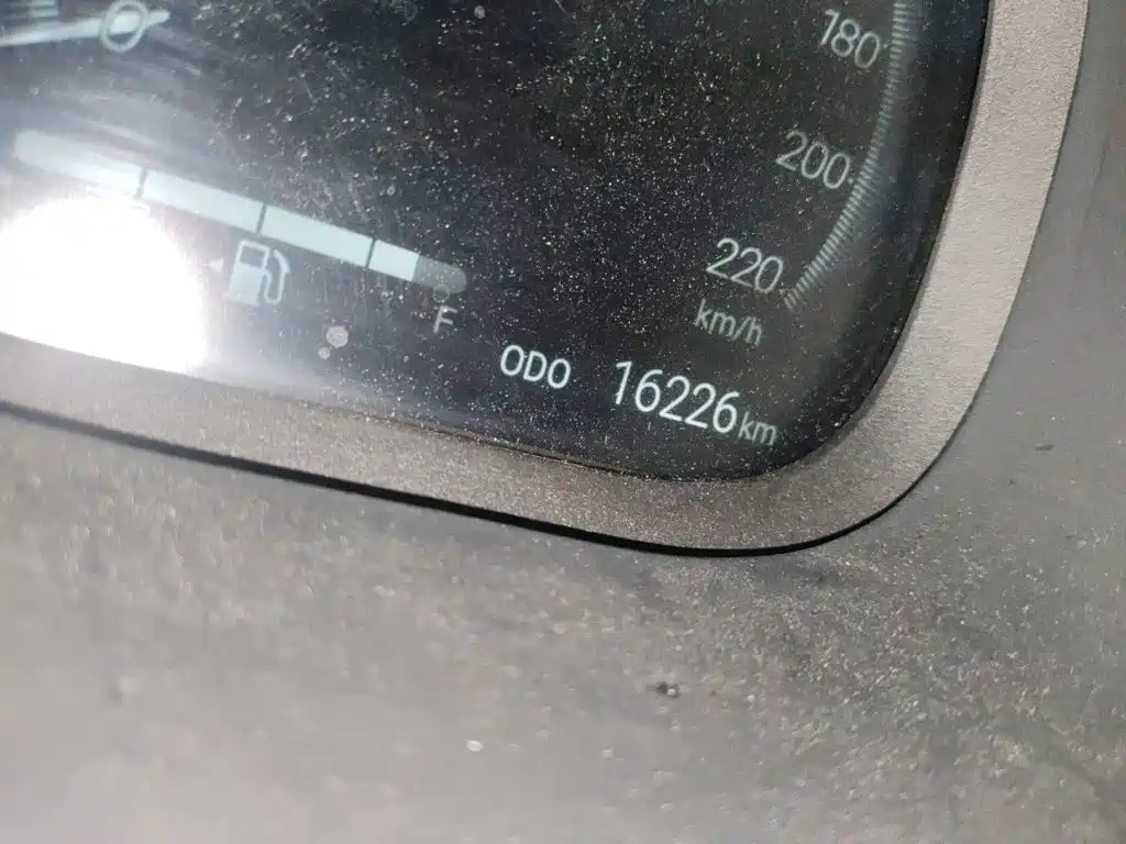 Toyota Wildlander 2025 2024 2.0L CVT 2WD Luxury PLUS Edition