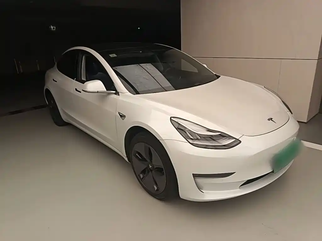 Tesla Model 3 (Import) 2019 2019 Long Range RWD Version