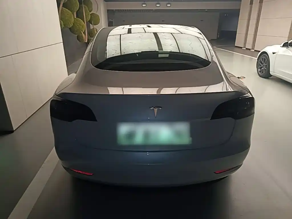 Tesla Model 3 (Import) 2019 2019 Long Range RWD Version