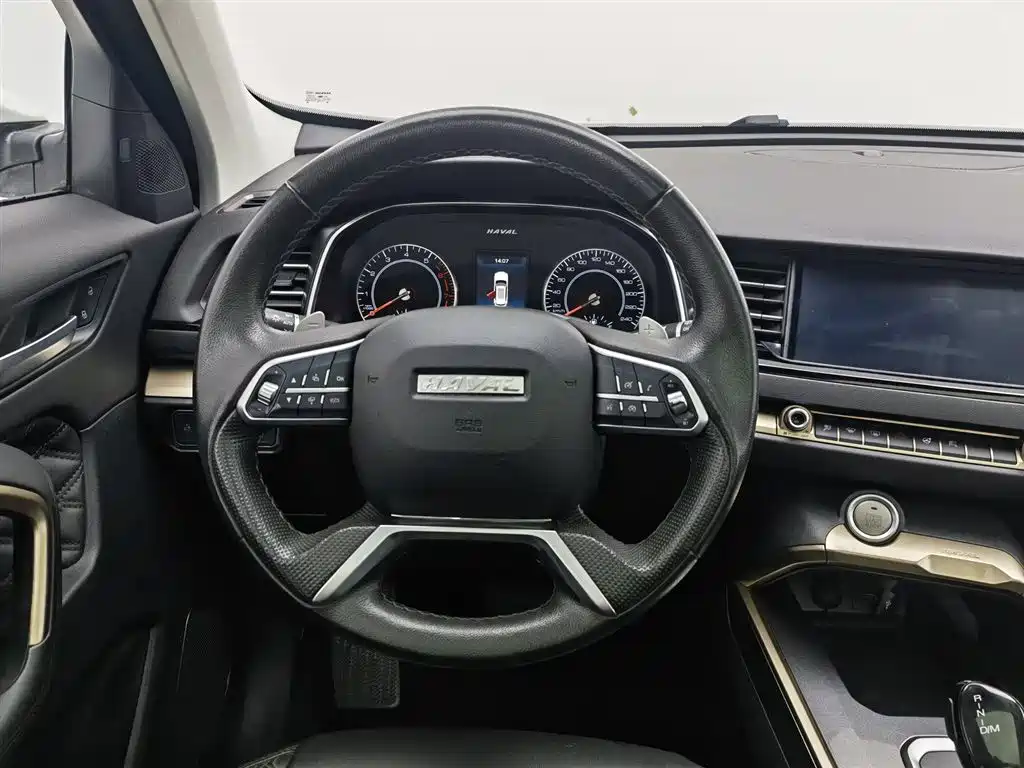 Haval H6 2020 2.0GDIT Automatic Platinum Champion Edition фото 11