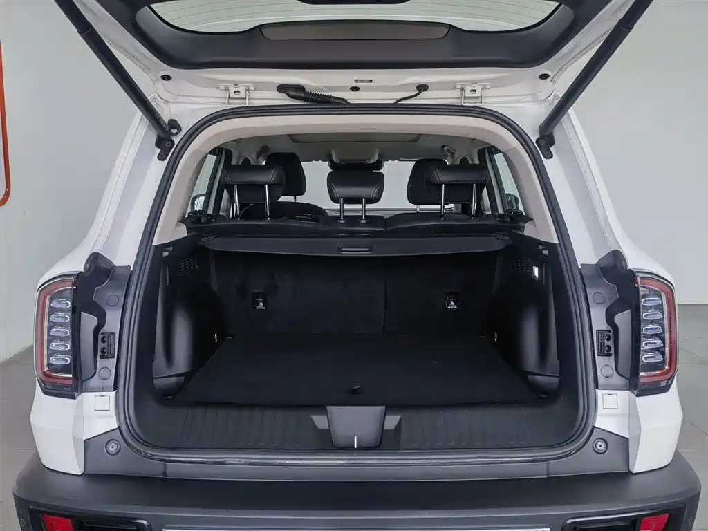 Haval Big Dog 2021 Facelift 2.0T DCT AWD Howling Celestial Dog Edition фото 16