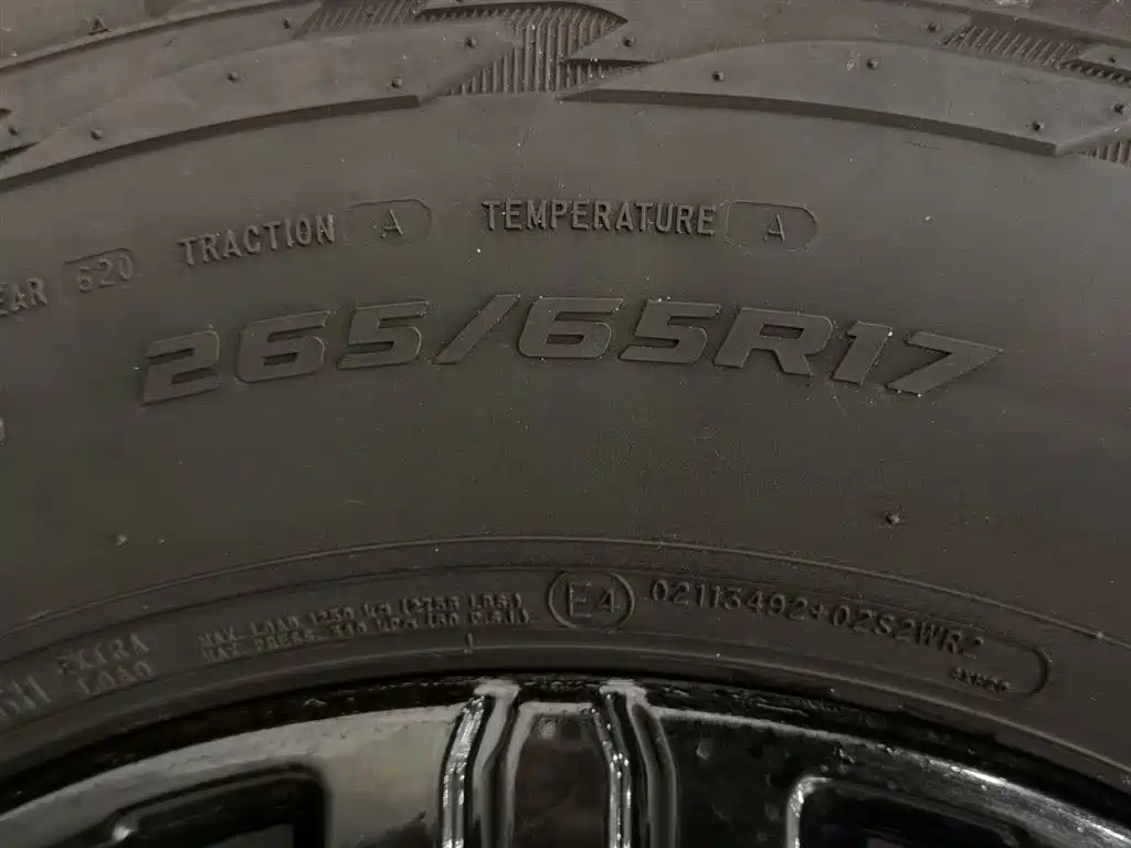 Tank 300 2021 Off-road Version 2.0T Conqueror фото 24