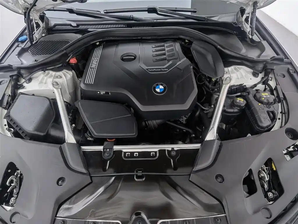 BMW 5 Series 2021 530Li Leading M Sport Package фото 6