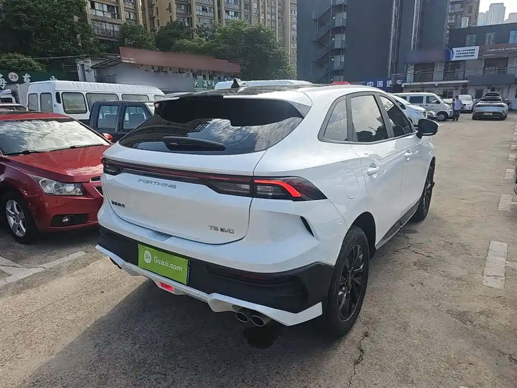 صورة 7 - Dongfeng Fengxing Fengxing T5 EVO