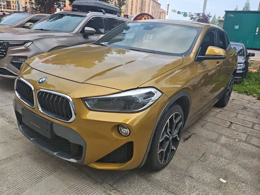 BMW X2 (Import) 2018 sDrive25i Exclusive M Off-Road Package China V фото 2