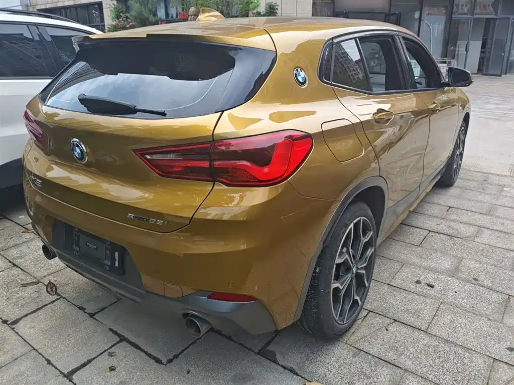 BMW X2 (Import) 2018 sDrive25i Exclusive M Off-Road Package China V фото 7
