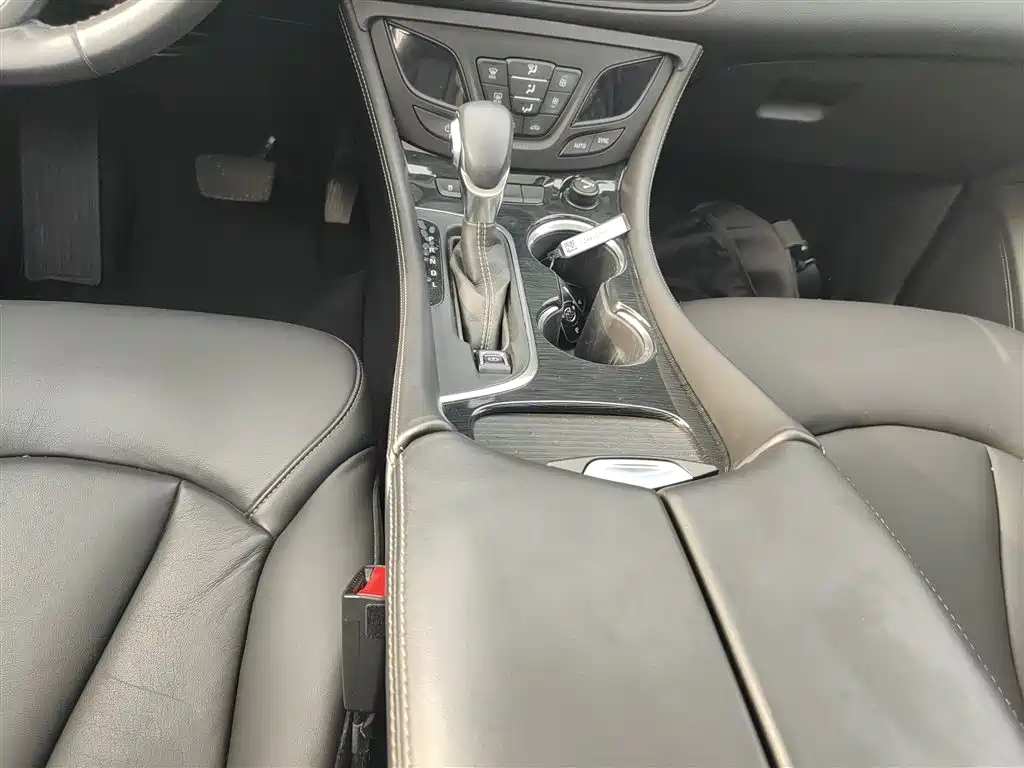 Buick Envision Plus 2016 20T 2WD Elite фото 10