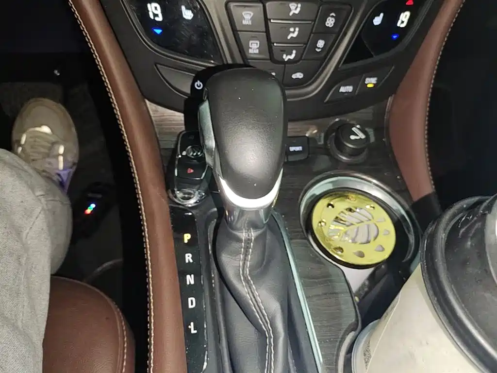 Buick Envision Plus 2017 28T AWD Elite фото 14
