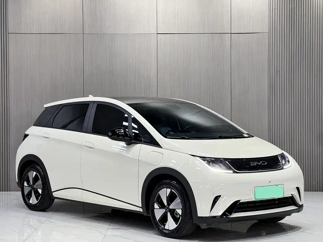 BYD Dolphin 2023 420km Fashion Edition фото 3