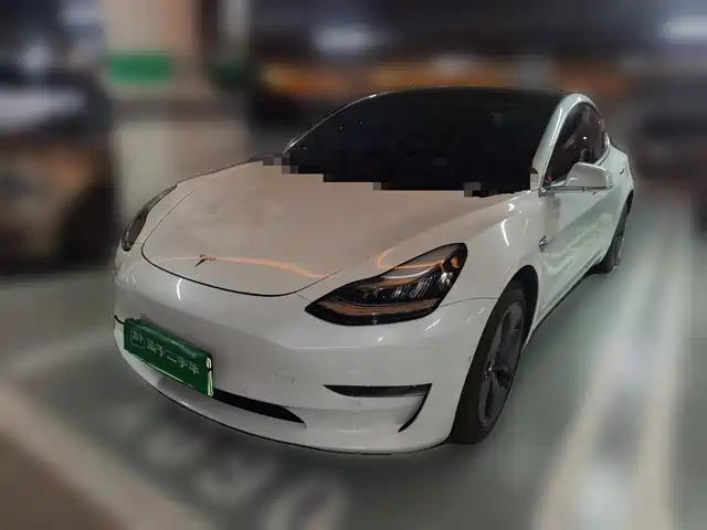 Tesla Model 3 (Import) 2019 Long Range All-Wheel Drive Edition