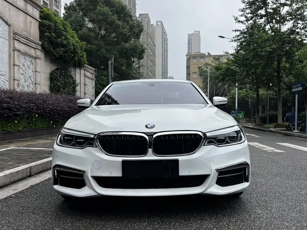 BMW 5 Series 2020 530Li Leading M Sport Package фото 10