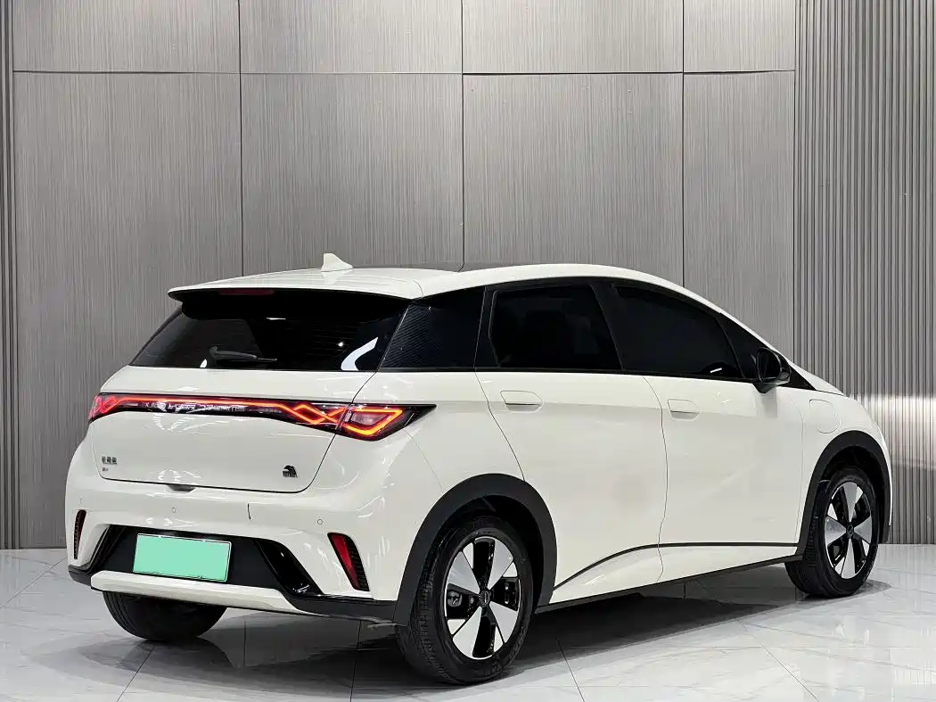 BYD Dolphin 2023 420km Fashion Edition фото 11