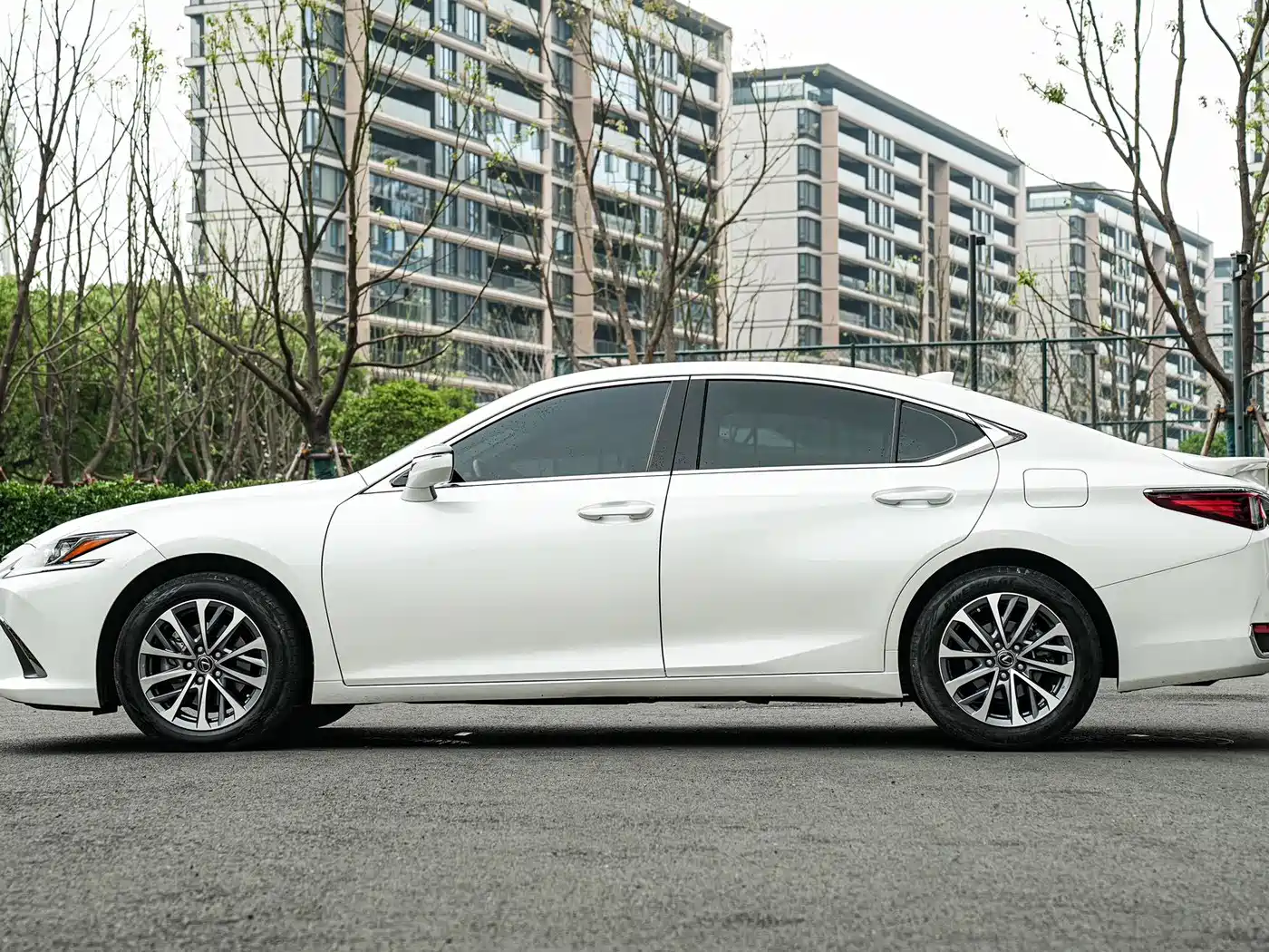 Lexus ES 2024 200 Premium Edition фото 7