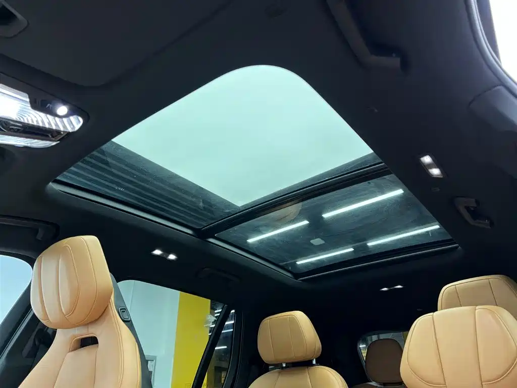Lynk & Co 09 EM-P 2021 2.0T PHEV Ultra 6-seater фото 17