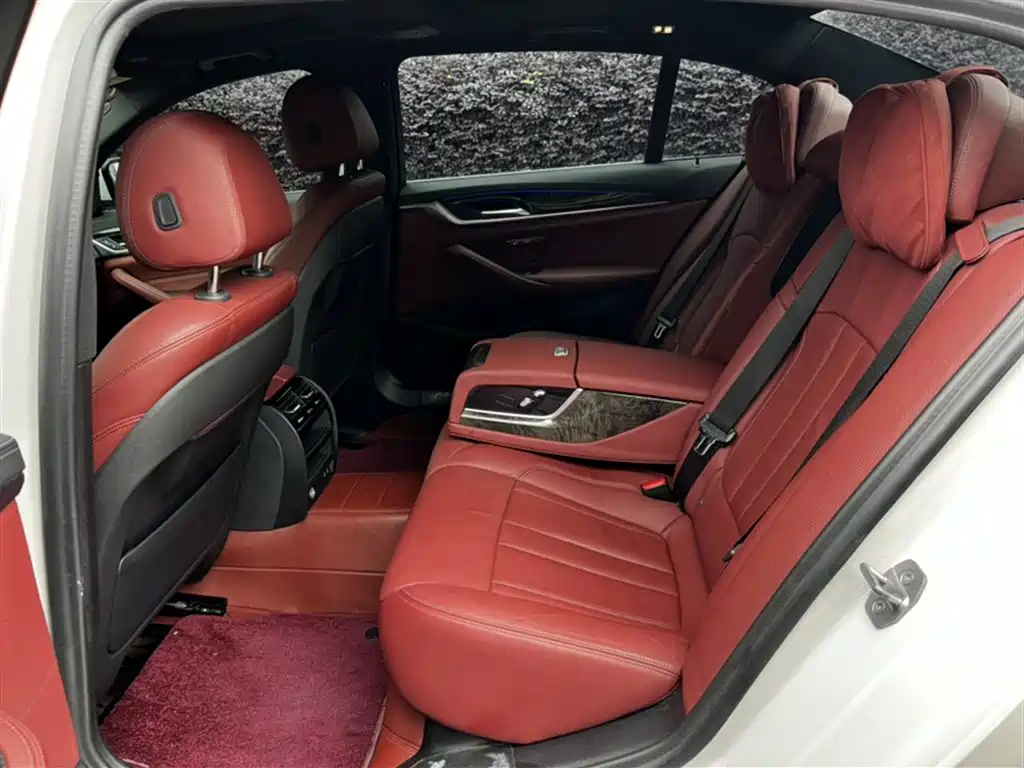 BMW 5 Series 2020 530Li Leading M Sport Package фото 3