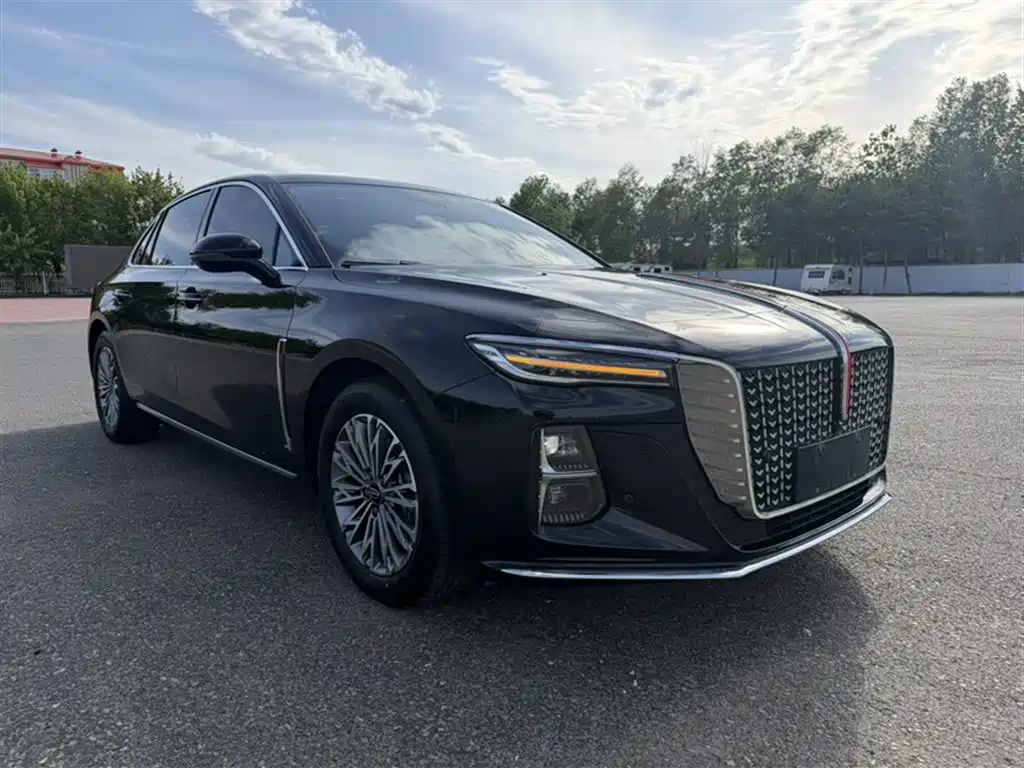 Hongqi H5 2024 1.5T DCT Smart Connect Flag Rhythm Edition фото 7