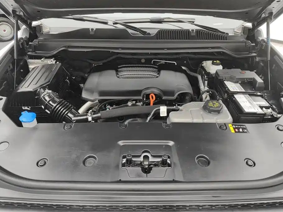 Haval H9 2024 2.0T Gasoline AWD Extreme Edition фото 10