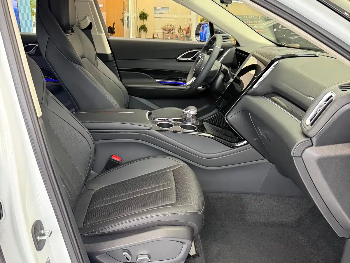Hongqi HS3 PHEV 2024 PHEV 115km Power Edition фото 4
