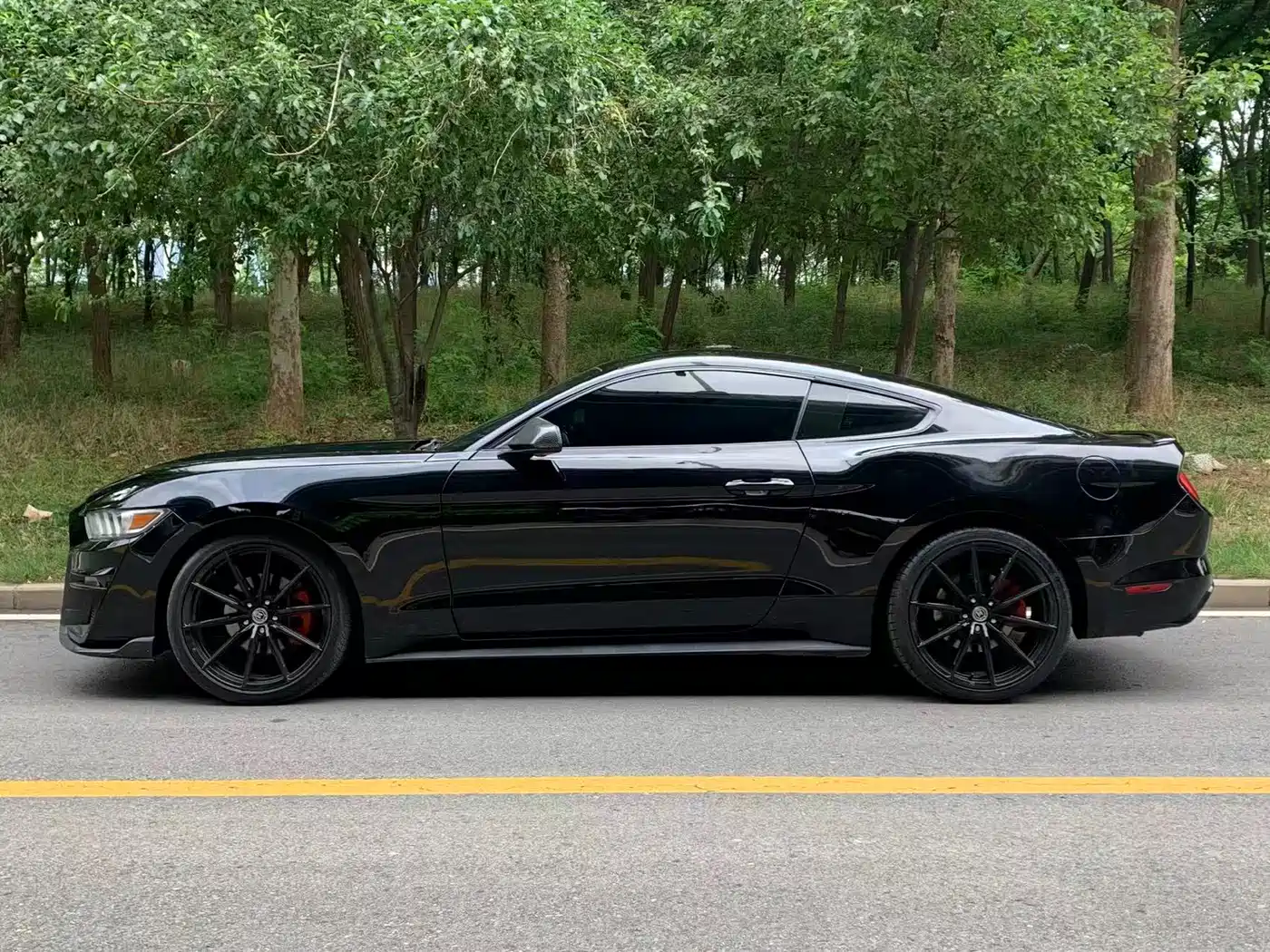Ford Mustang 2017 2.3T Performance Edition фото 3