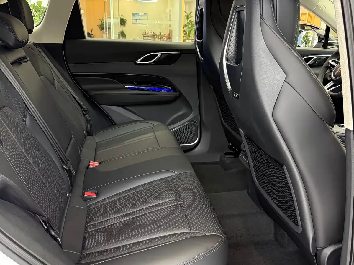 Hongqi HS3 PHEV 2024 PHEV 115km Power Edition фото 5