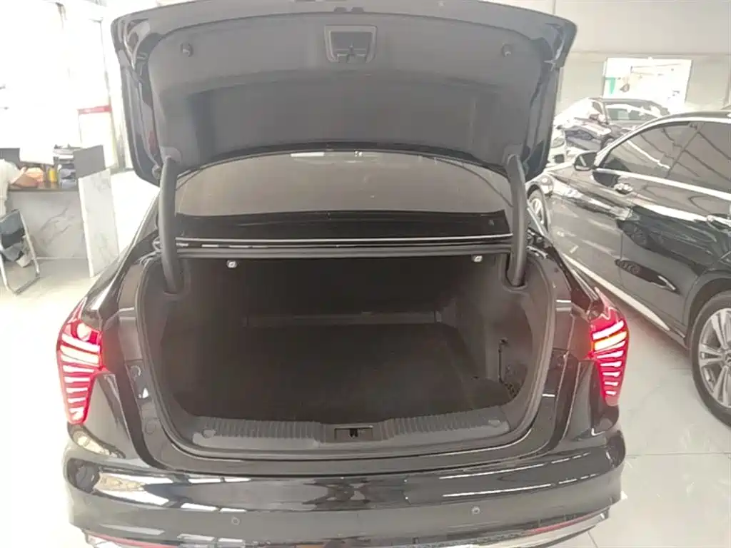 Hongqi H5 2024 2.0T Automatic Smart Connect Flag Smooth Edition фото 19