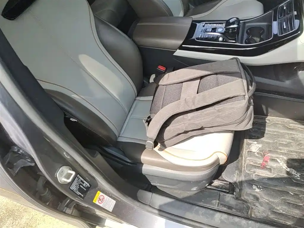BYD Qin PLUS 2023 Champion Edition DM-i 120KM Excellence фото 24